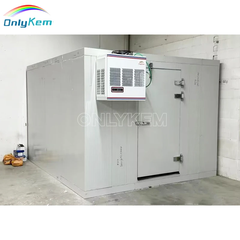 ETL 1 Tons Walk-in Cooler Door and Freezer with Good Insulation for Fish Cold Room Storage