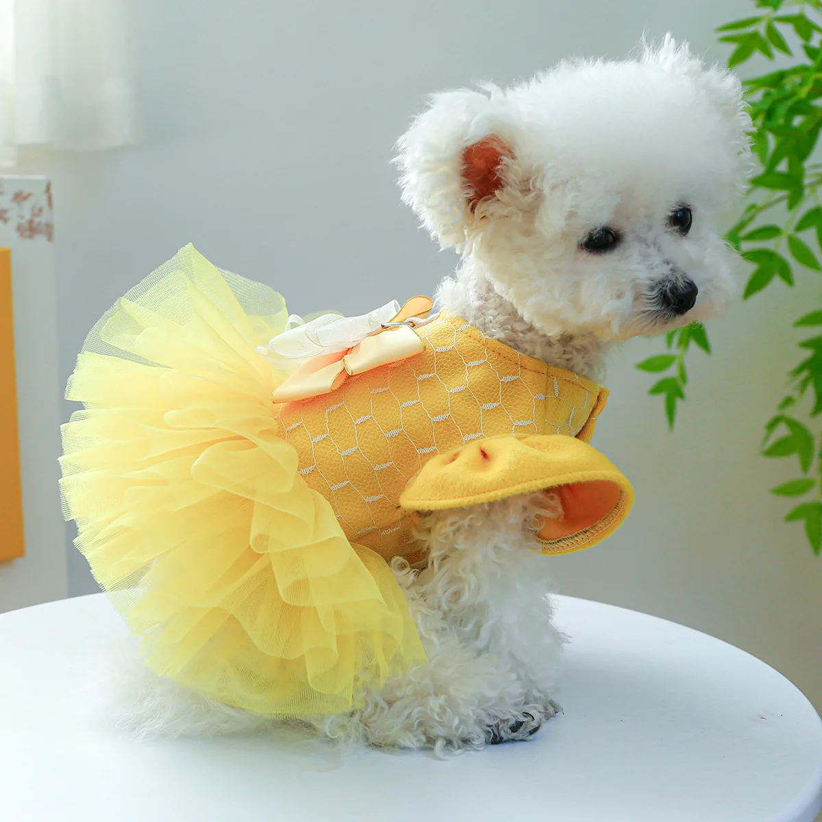 Wholesale Dog Princess Dresses for Autumn and Winter Pet Wedding Vibrant  Yellow Clothing with the Red Decoration and D-ring| Alibaba.com