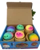 rainbow dumpling 8.5cm (big size)display box
