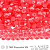 P465 Watermelon  MS