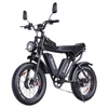 Autre produit pour Ridstar Q20 Pro, 2000W/40AH