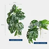Hoja de Monstera de la Cueva de las Hadas
