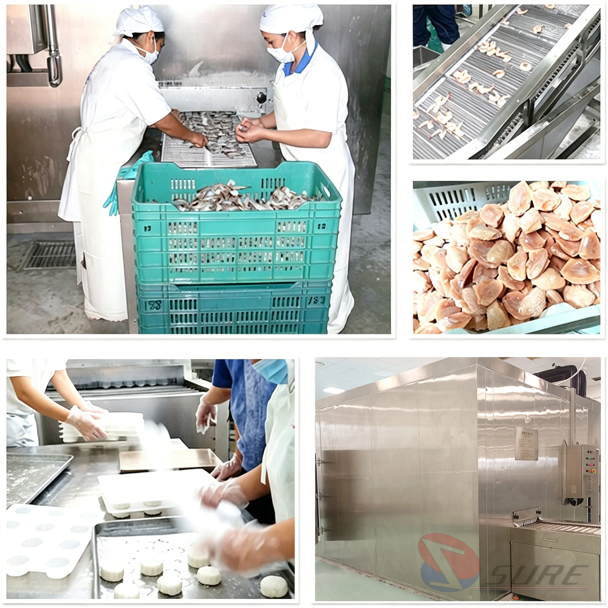 Equipment Quick Tunnel Freezer, IQF, 380v - detail 2