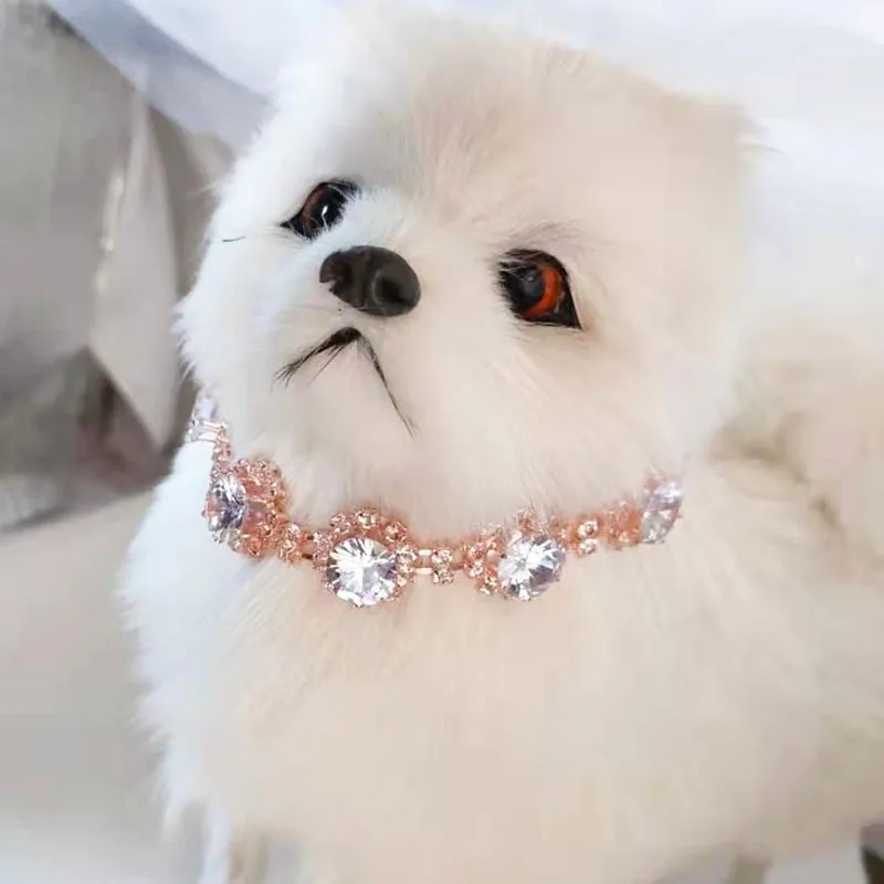 diamond dog jewelry