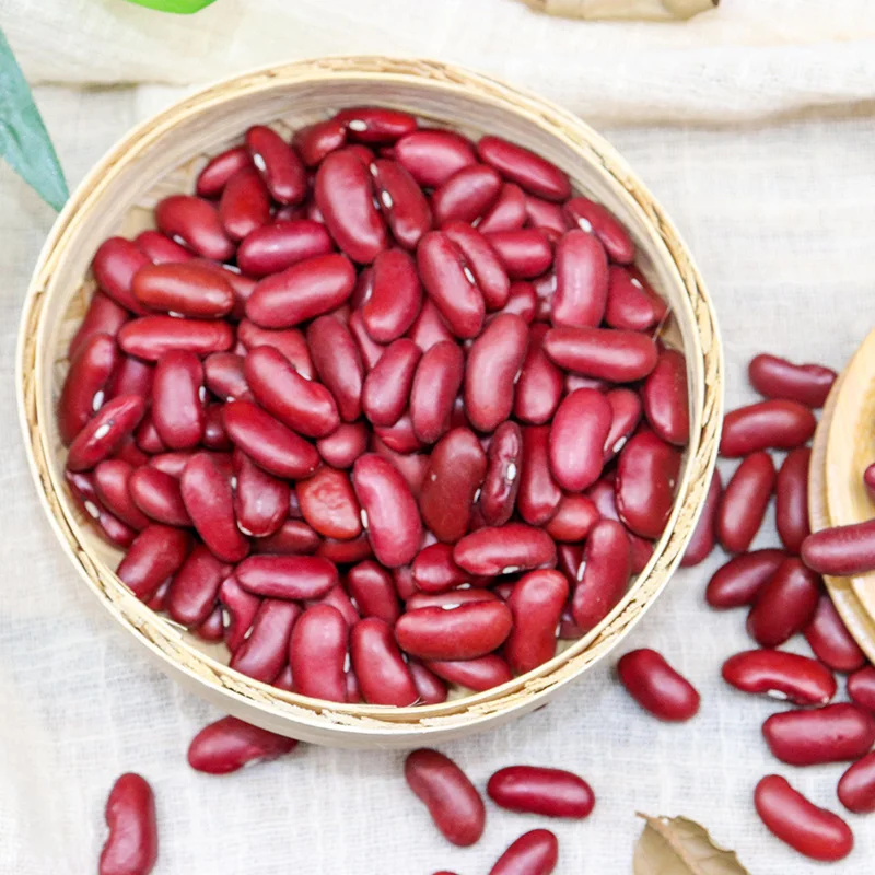 красные бобы китай. красная соя. красная соя. красная соя в холодильнике. фасоль мелкая красная адзуки.