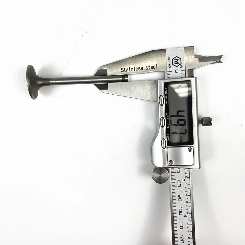d91d_.jpg