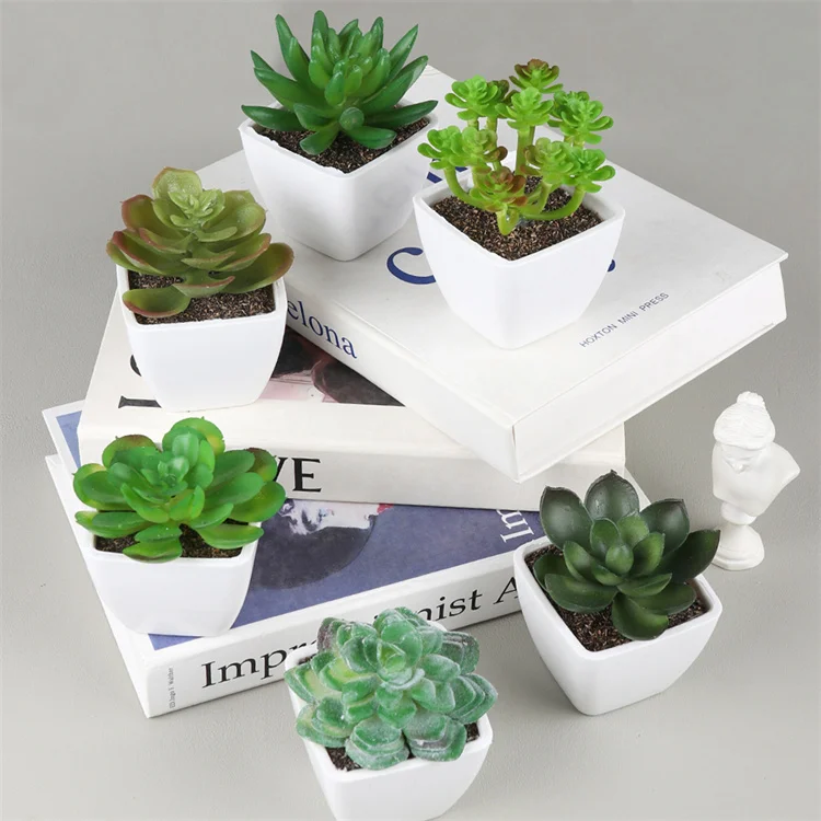 Falsche mini knstliche sukkulente Pflanzen ins Gef geflschter Kaktus Aloe  vera Crassulaceae Sukkulente fr Garten Hochzeit, Heimdekoration Tisch|  Alibaba.com