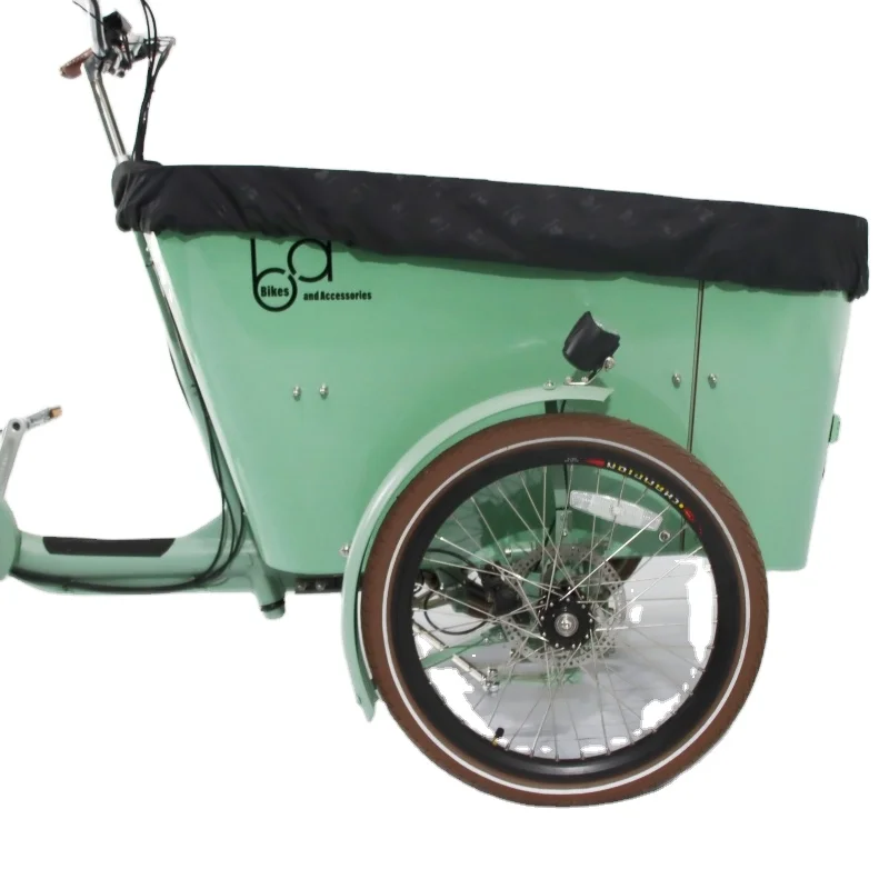 Swing Balance Electric Tilt System Version Cargo Bike 3 Three Wheels Tricycle Cargo Ebike Cargo Dog Ebike Electric Tricycles