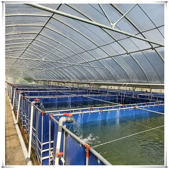 Indoor Fish Ras Fish Farming Equipment For Tilapia The Recirculating ...