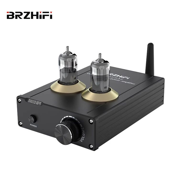 BRZHIFI Visoka kakovost brez izgube Aluminij TPA-6A2 HiFi BT 5.0 Vakuumska trakica Zvižgalka Mala domača stereo