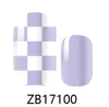 ZB17100