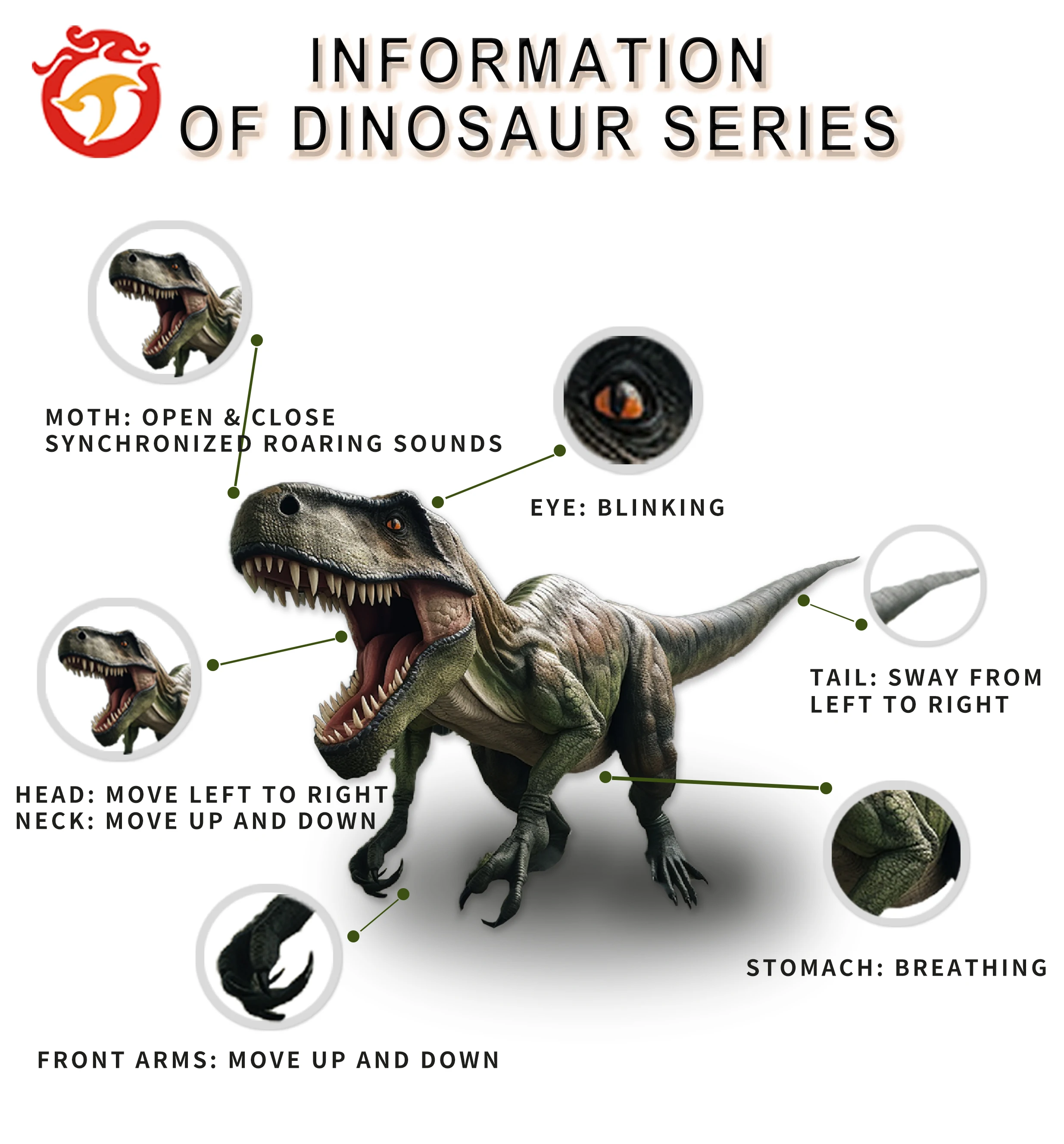 Life Sized Realistic Walking T Rex Animatronic Dinosaur