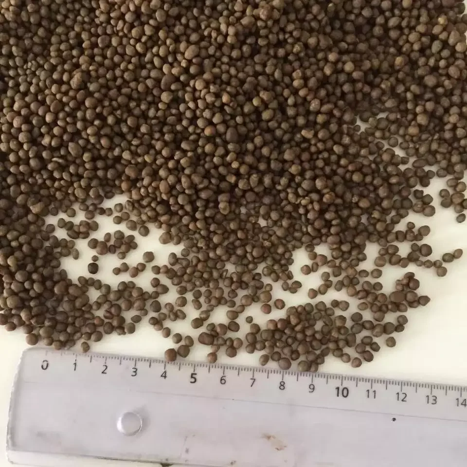 welcher dünger für beerensträucher ProviPlant Beeren-Dünger: Für Himbeeren, Brombeeren, Blaubeeren, main image 1