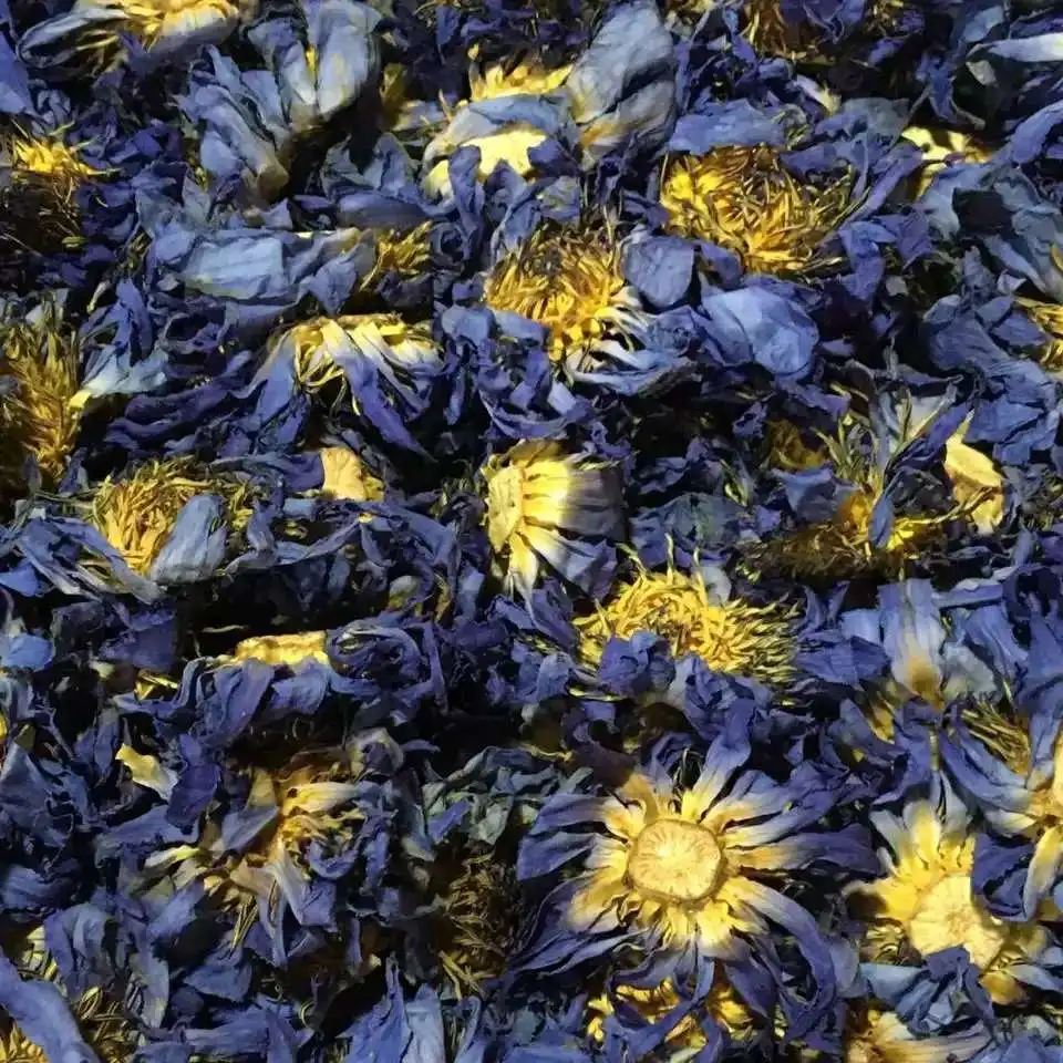 Lan Lian Hua China Natural Fragante Té Seco Flores De Loto Azul - Buy Venta  Al Por Mayor De Flores De Loto Azul Secas,Té De Flores De Loto Azules Secas, Flores De Loto