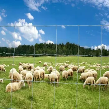 1.2m height Horse Fence Sheep Goat Cattle Cow Pig Farm Fence Roll Wire Mesh cattle fence