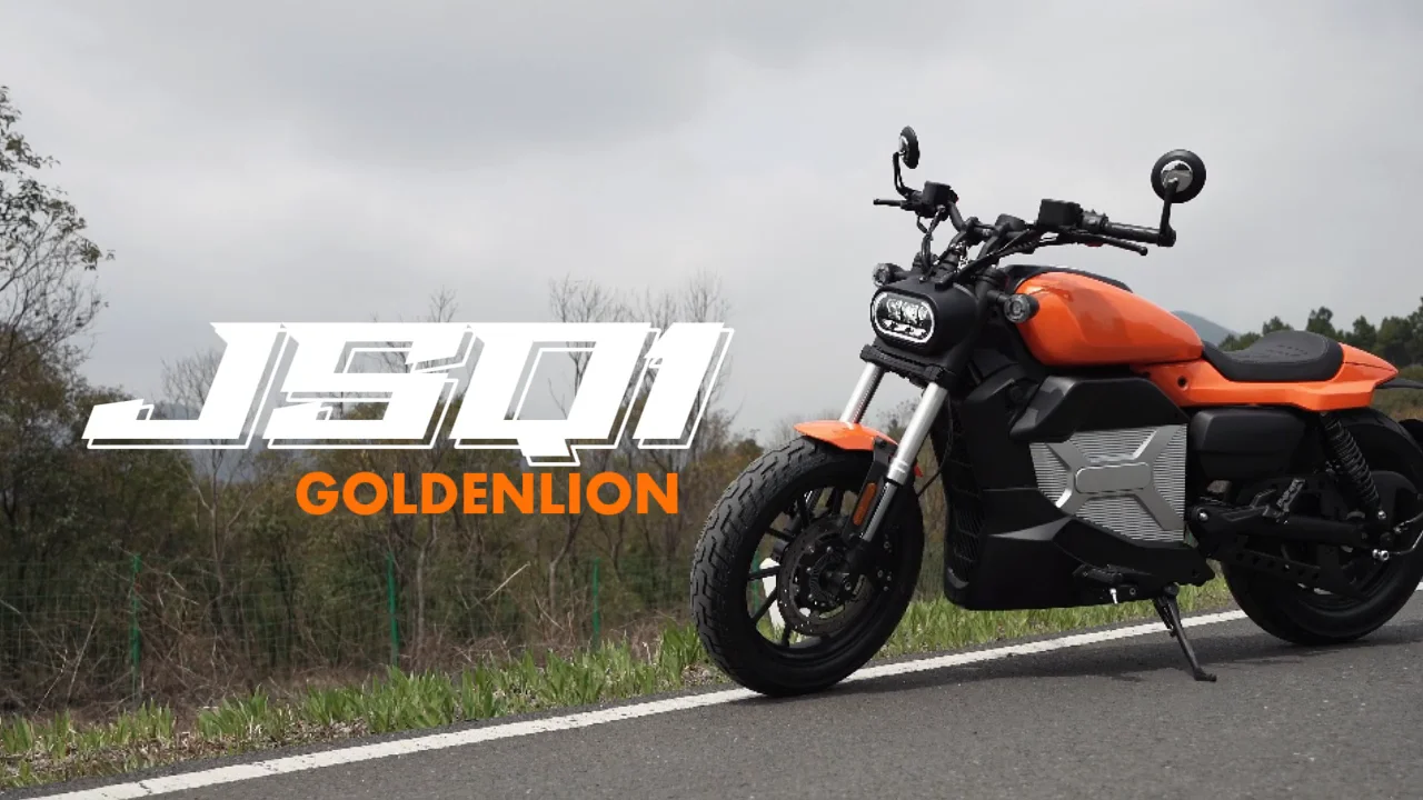 ライオンページ ライオン🦁