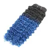 T1b-blue