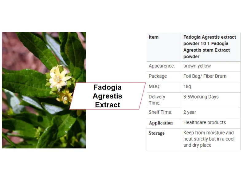 High Quality Fadogia Agrestis Extract Fadogia Agrestis Powder For Men