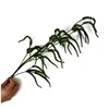 Caterpillar (dark color)