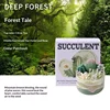 Conte de la forêt