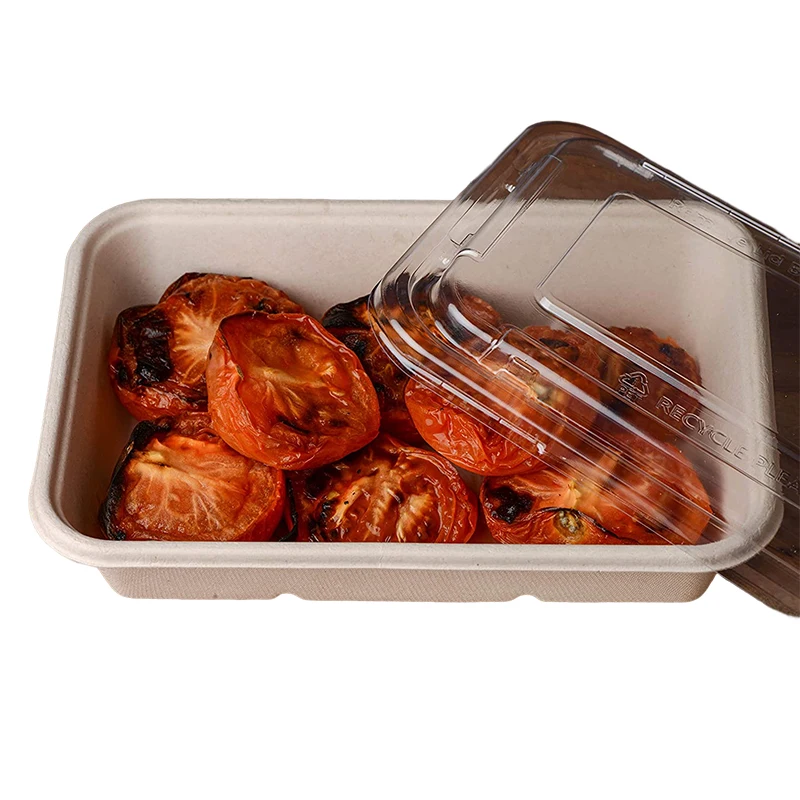 Sugarcane Bagasse Bento Box Disposable and Biodegradable Takeout Food ...