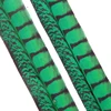 lady amherst-green
