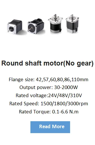 Bldc Motor, 48V, 24V, 110V, 220V - detail 2