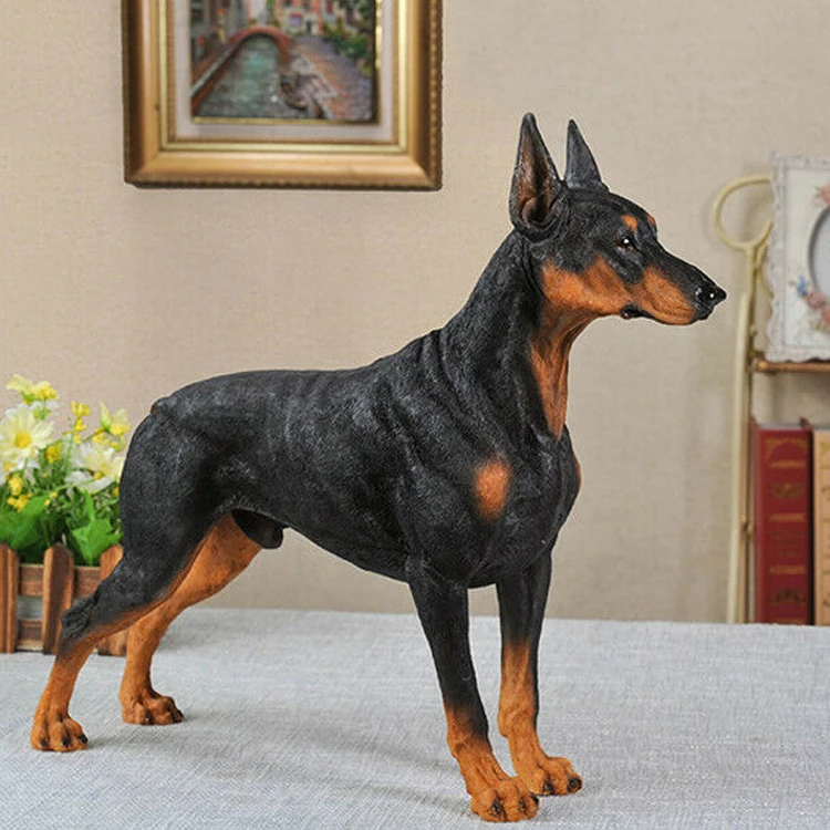 can a doberman pinscher live in brunei