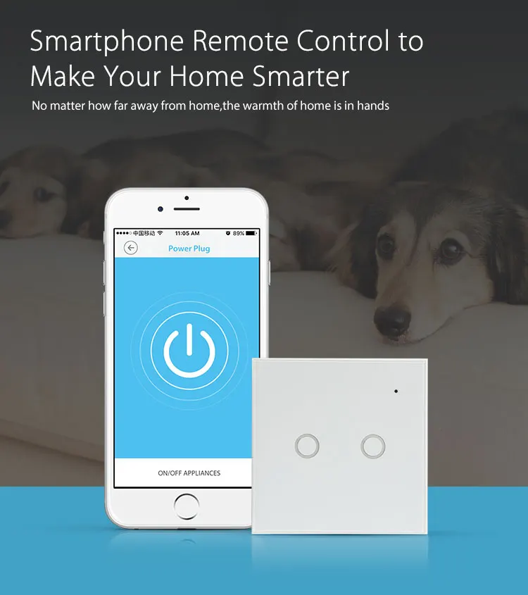 EU Standard 2 Gangs Wifi Touch Sensitive Light Switch Alexa Compatible Smart Switch