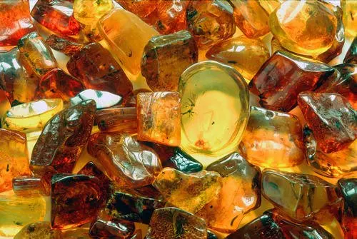 Amber Essential Oil - Pinus Succinifera Resin