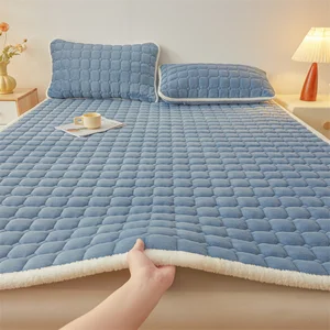 New Solid Color  Milk Fleece Mattress Custom Size Woven Pad Soft and Throwable for Home Decor and Hotels