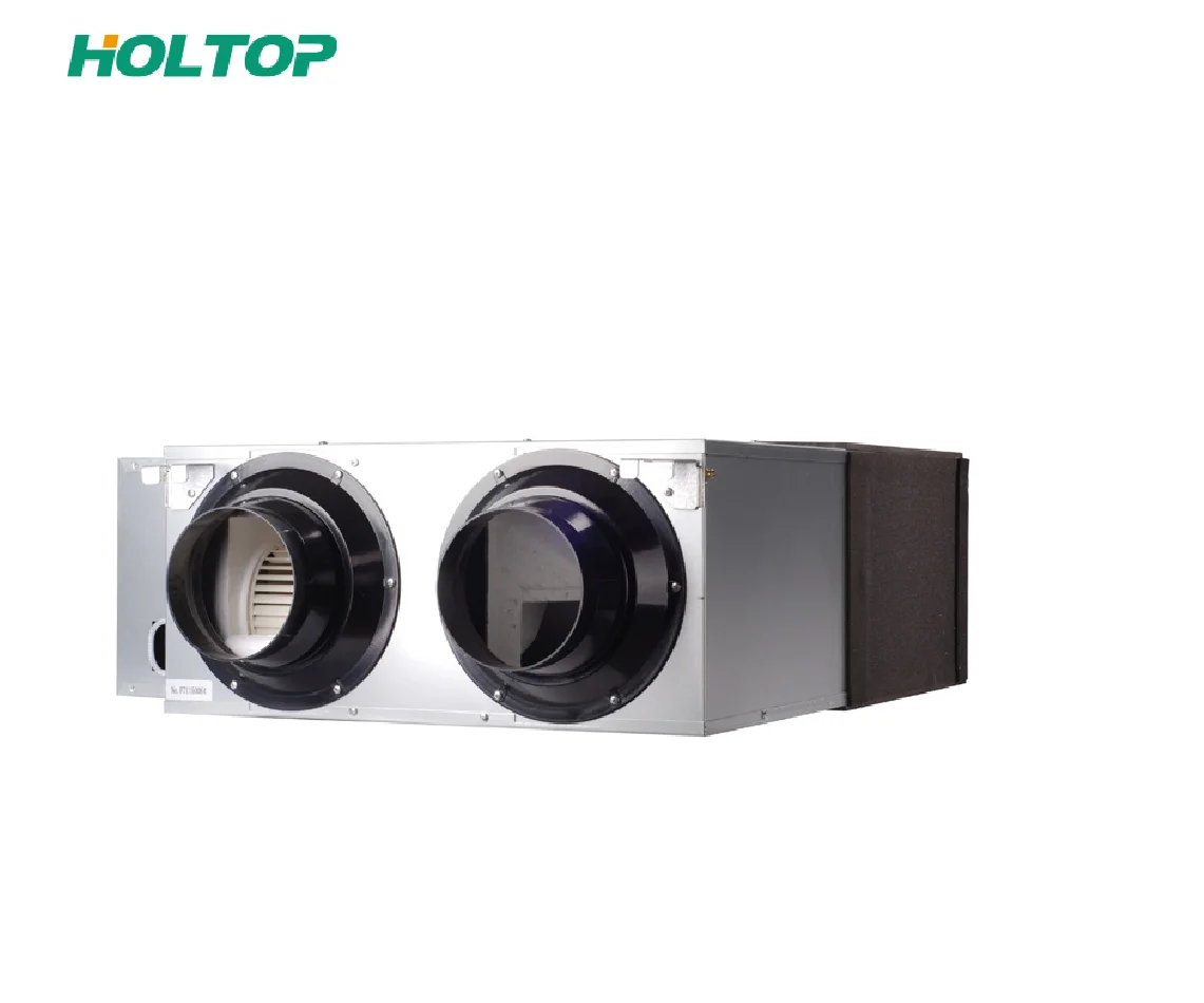 For Holtop Factory Best Price ERVs for Air Recuperator Ceiling Mounted Heat Energy Recovery Fresh for Air Modern Industrial