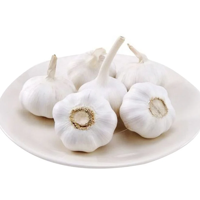 garlic pure white garlic fresh garlic ajo alho ail czosnek 3p 4p