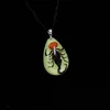 Haricots rouges, scorpions noirs