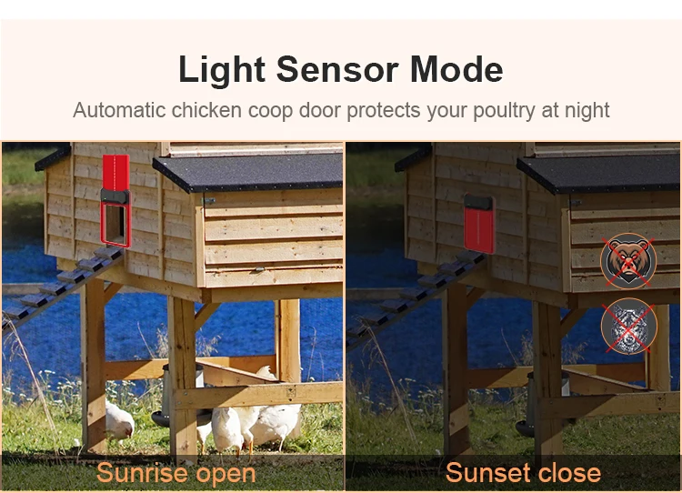 Vertical Sliding Chicken Coop Door Automatic Remote Solar Chicken Coop Door With Timer Buy