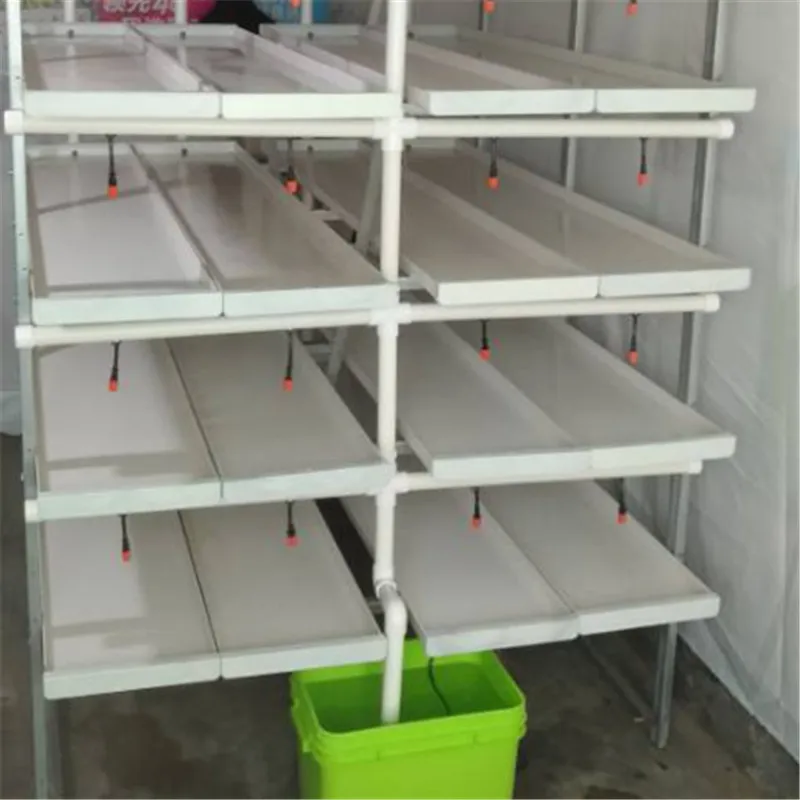 Barley Microgreen Growing System Hydroponic PVC Rack Hydroponic Grow Shelves System