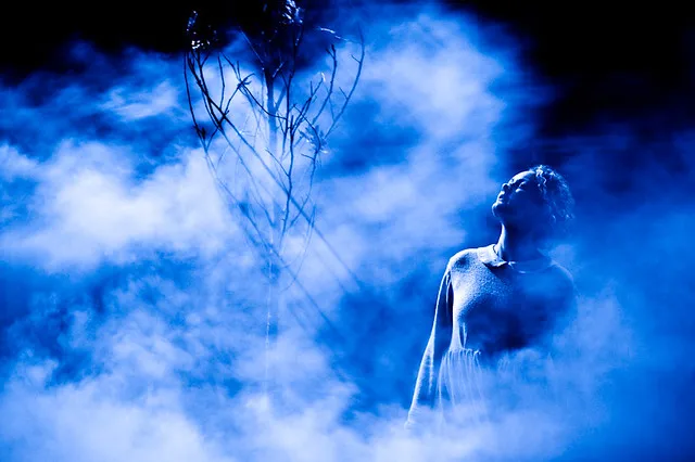 動作良好】XY-S600 ヘイズマシン スモークマシン ライブ用 Amazon.co