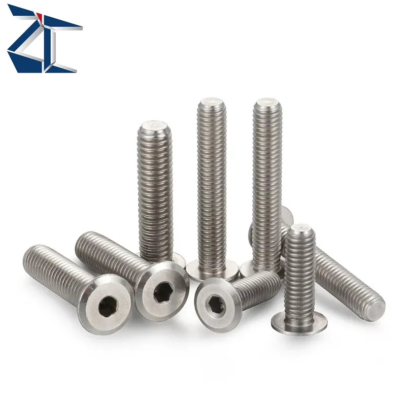 Direct Factory Price CBSTSRE Ultra Low Profile Hex Socket M2 M6 Socket Cap wholesale machine 304 Stainless Steel Screws supplier