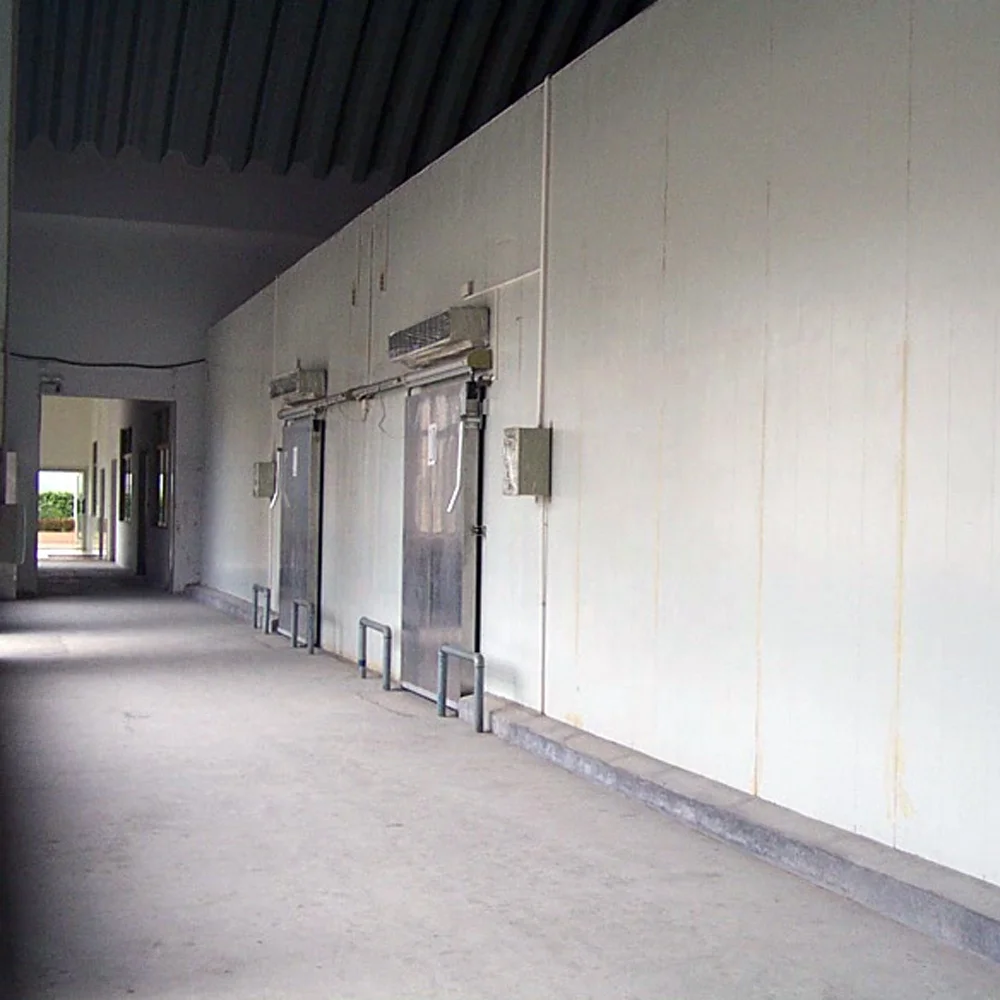 Walk in Cold Room With Low Noise Design Onion Storage Warehouse