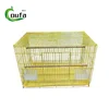 Giallo