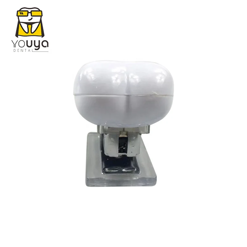 Рекламный офисный бумажный степлер в форме зубов для стоматологической аптеки