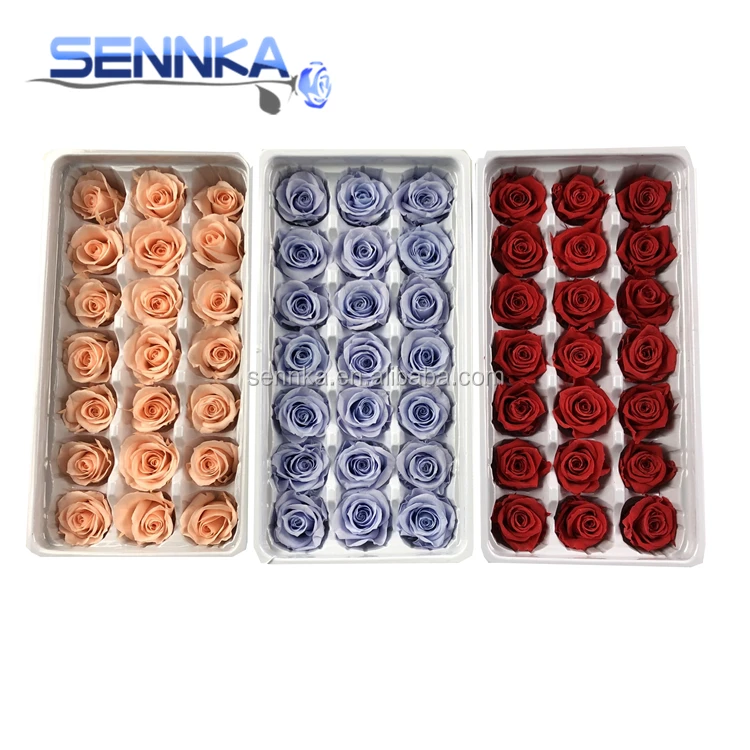 Оптовая продажа, свежий натуральный цветок лучшего качества для украшения