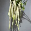 Bianco con Verde
