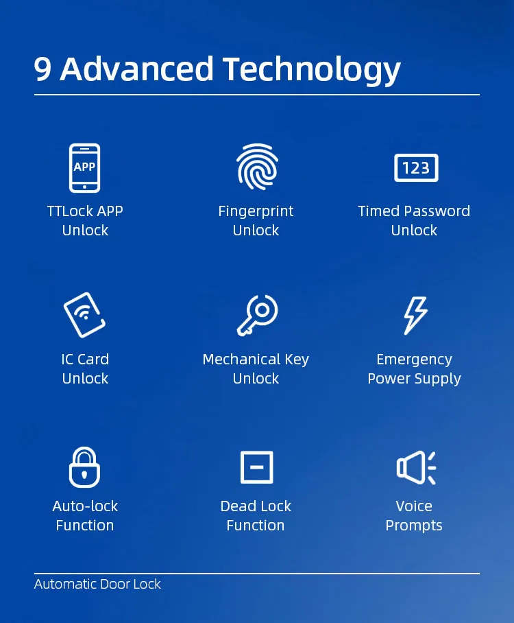 Serrature di porta elettroniche astute automatiche di Digital per l'appartamento 1