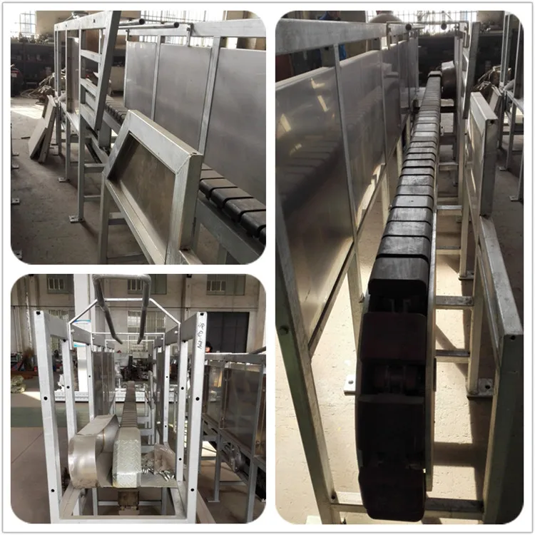 Complete Pig Slaughter Line Solution | Customized Turnkey Packages