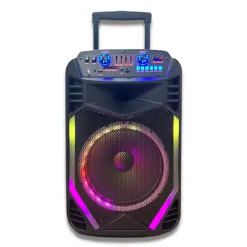 Outdoor Wireless Portable 12 inch Trolley Speaker With Wireless Microphone LED Colorful Light Big Power DJ Party Karaoke Speaker