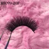 B8099-20F