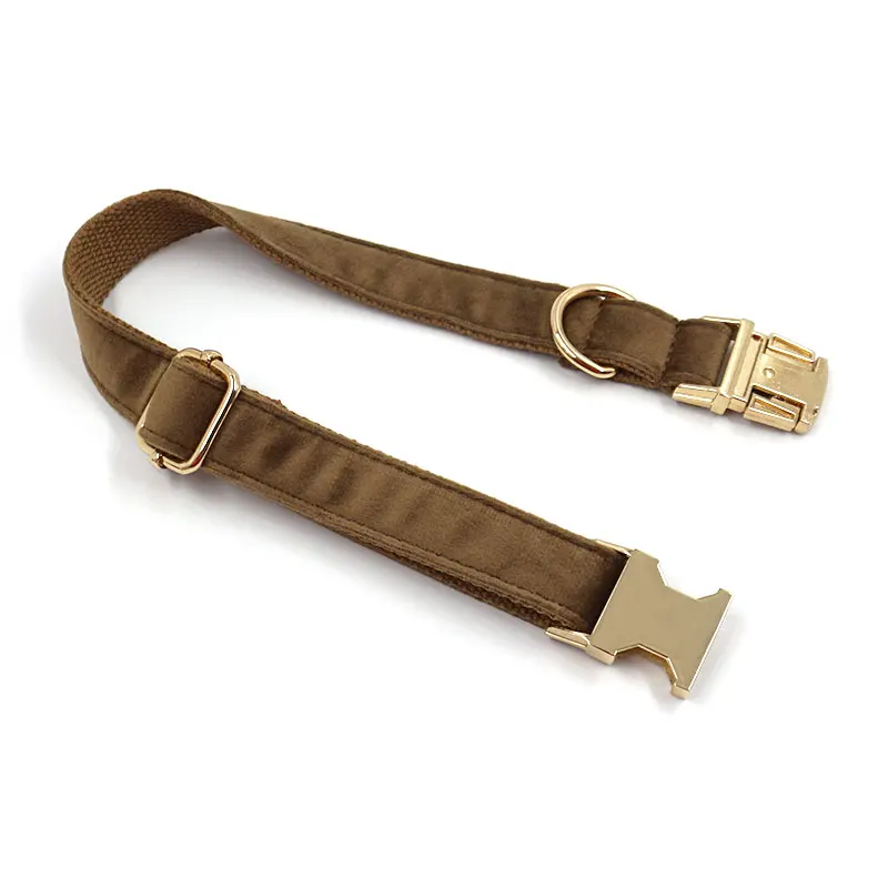 dog collar (22).jpg