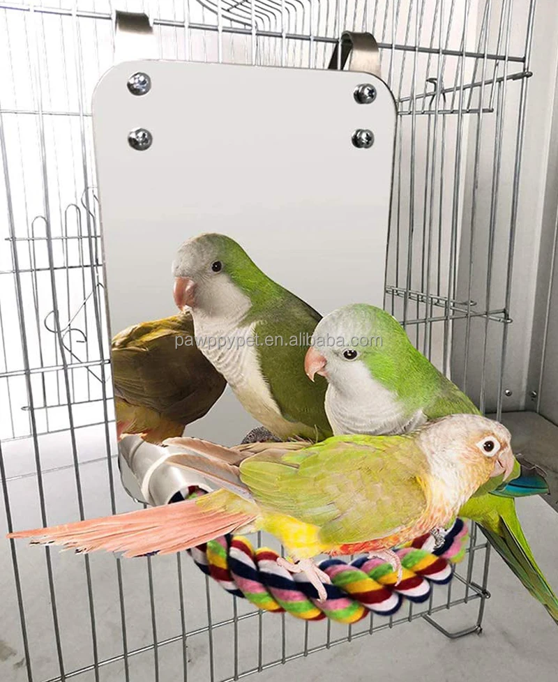 BWOGUE Stainless Steel Bird Mirror With Colorful Rope Perch - Fun Toy For Parakeets, Cockatiels, Conures & Other Pet Birds