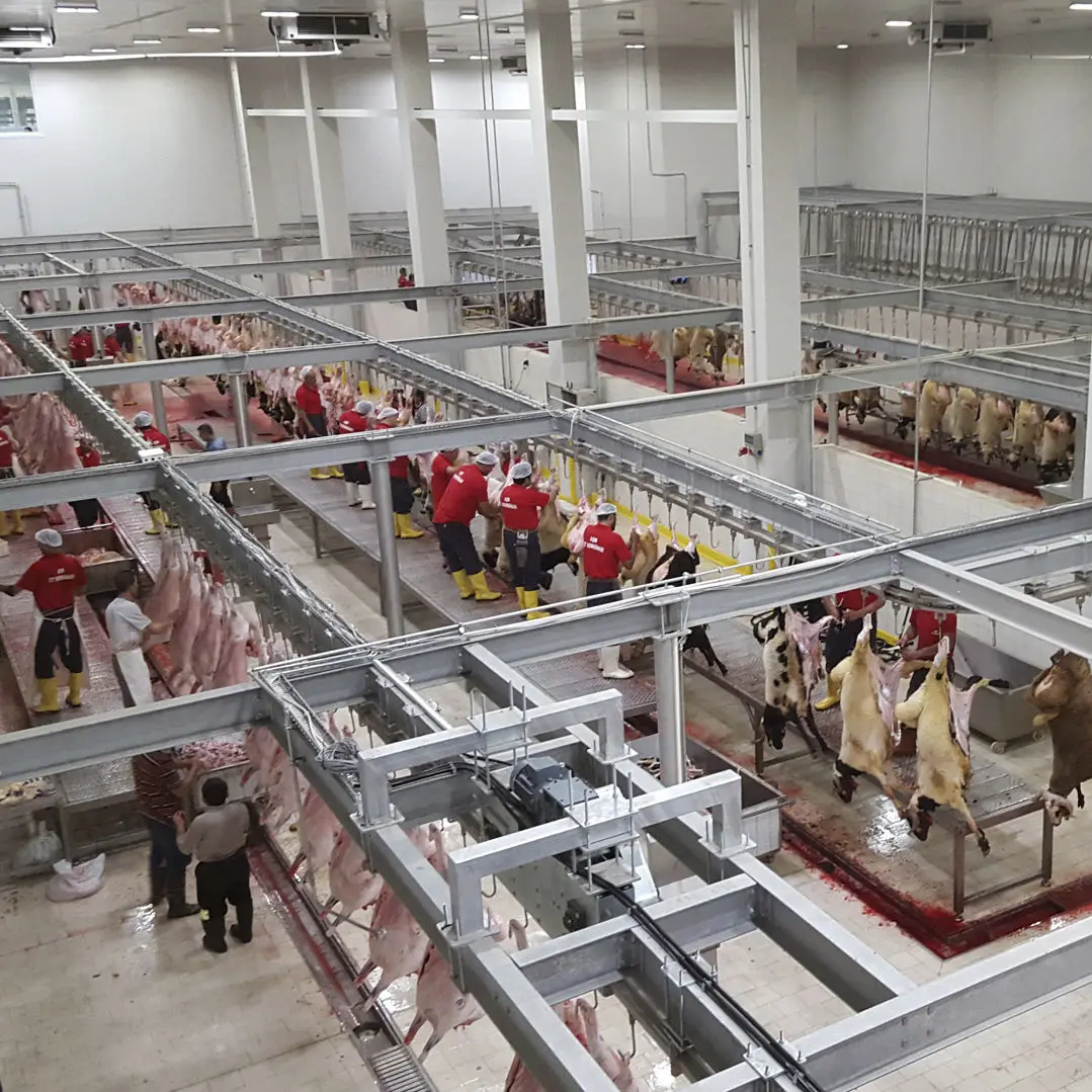 Slaughterhouse design 50-100 cow slaughterhouse meat processing equipment
